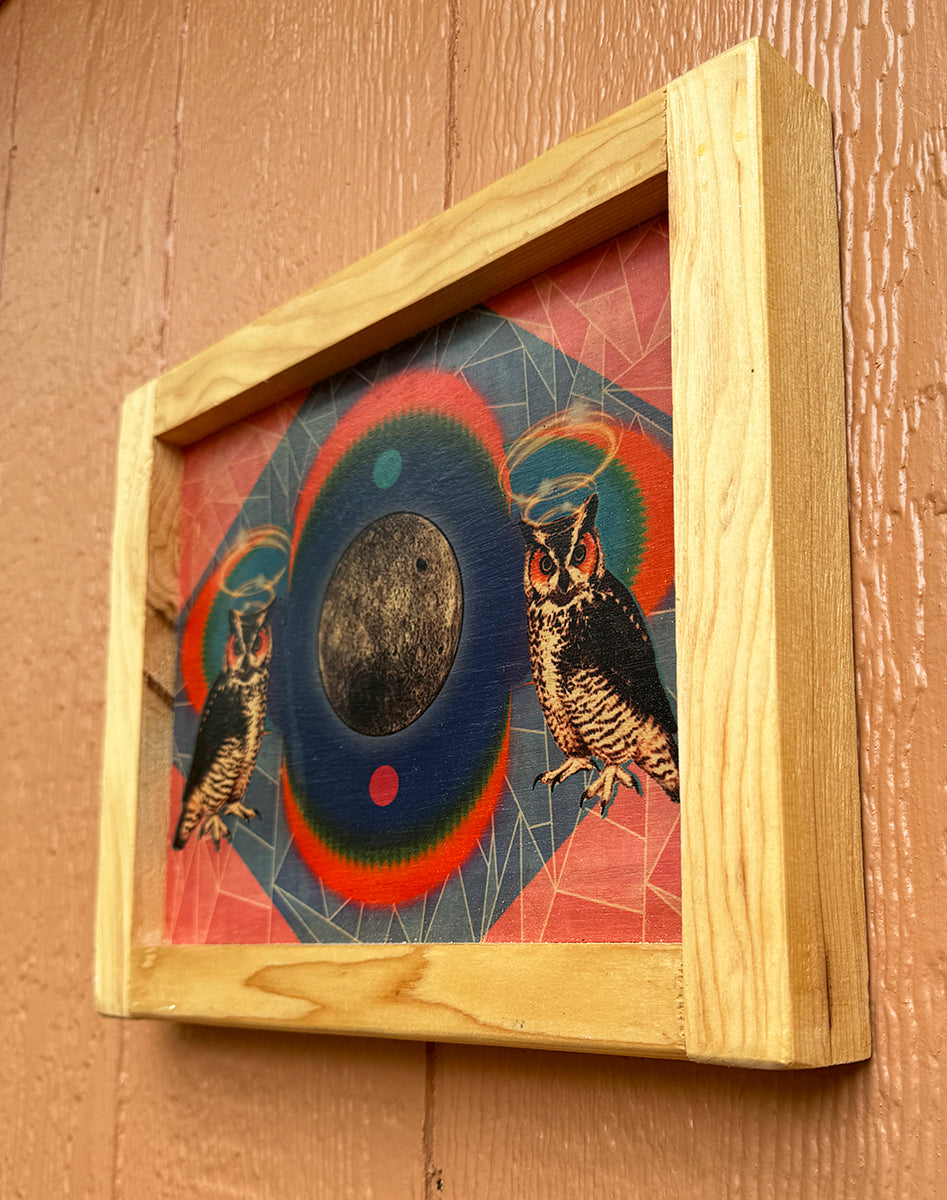 "Owl Side of the Moon"