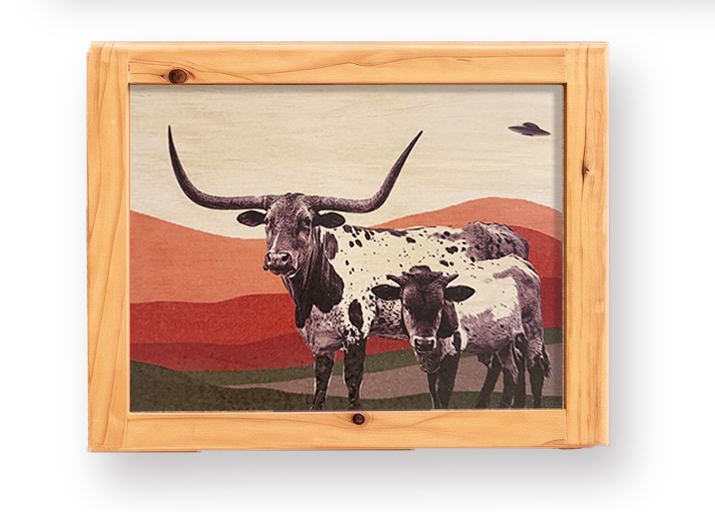 Longhorns & Aliens