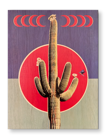 Crescent Cactus