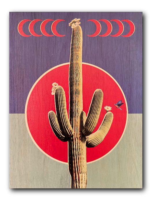 Crescent Cactus