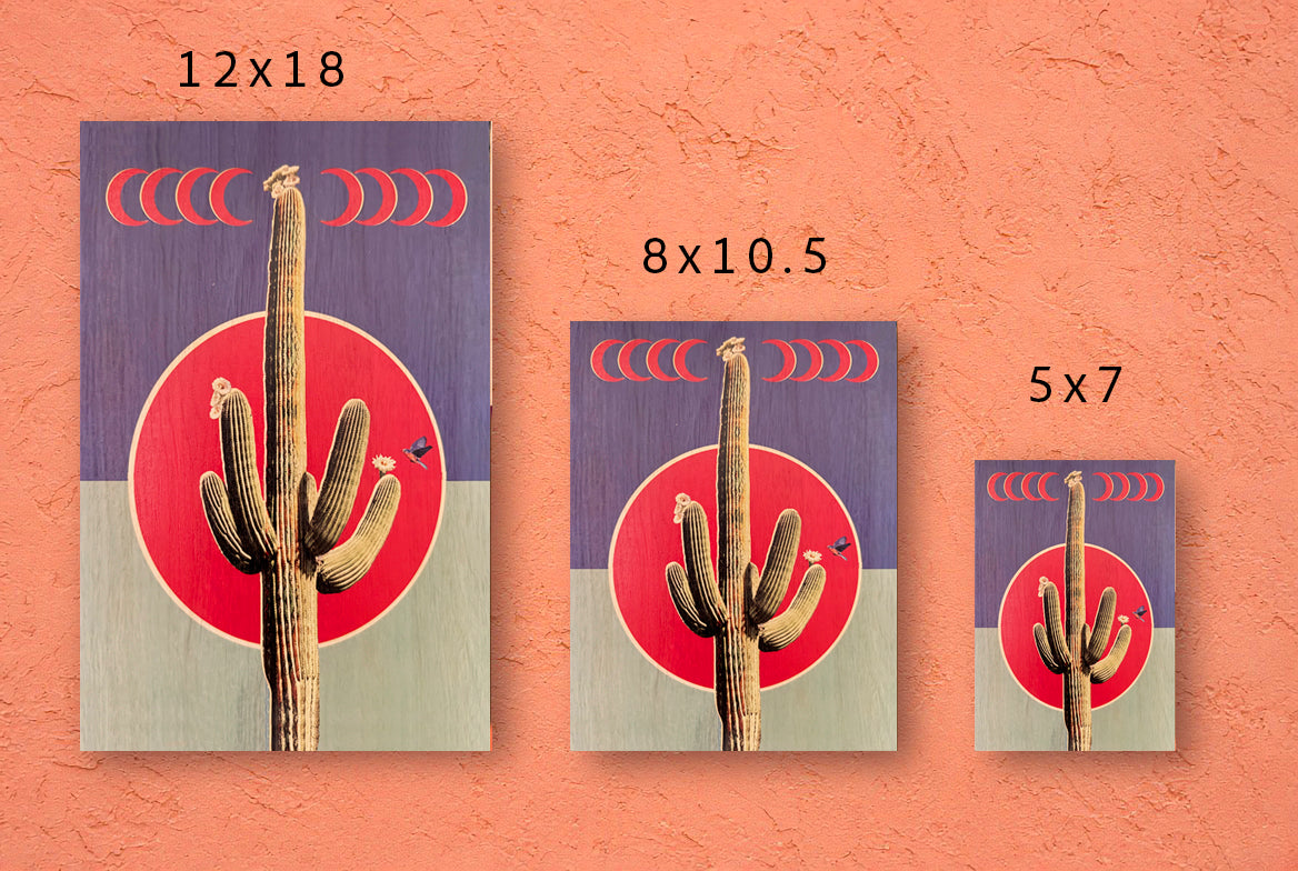 Crescent Cactus