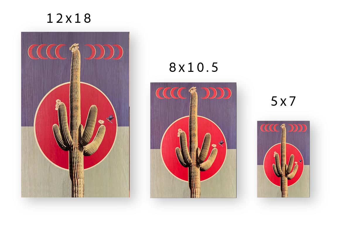 Crescent Cactus