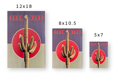 Crescent Cactus