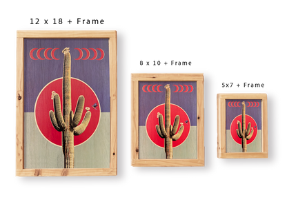 Crescent Cactus