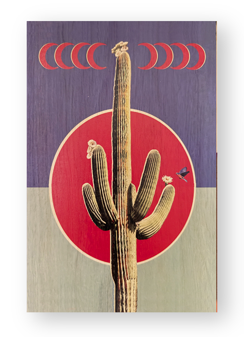 Crescent Cactus