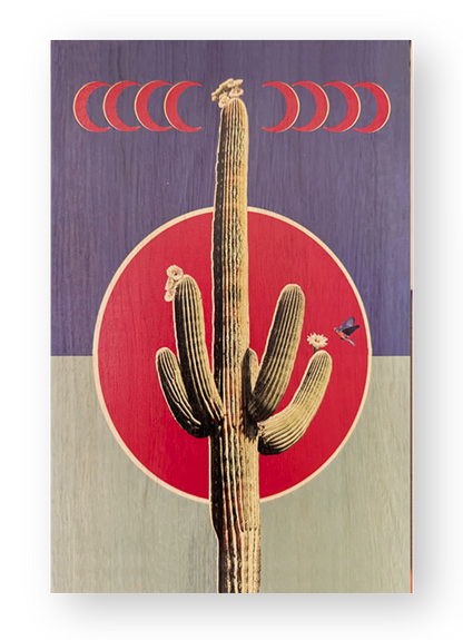 Crescent Cactus