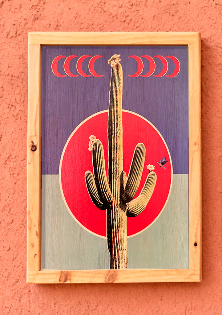 Crescent Cactus