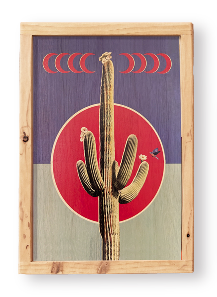 Crescent Cactus