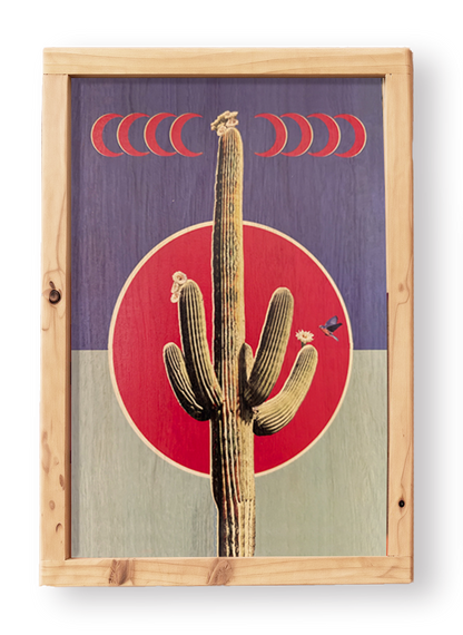 Crescent Cactus