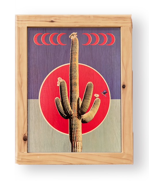 Crescent Cactus