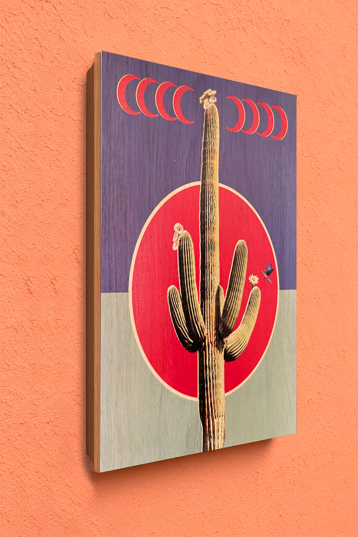 Crescent Cactus