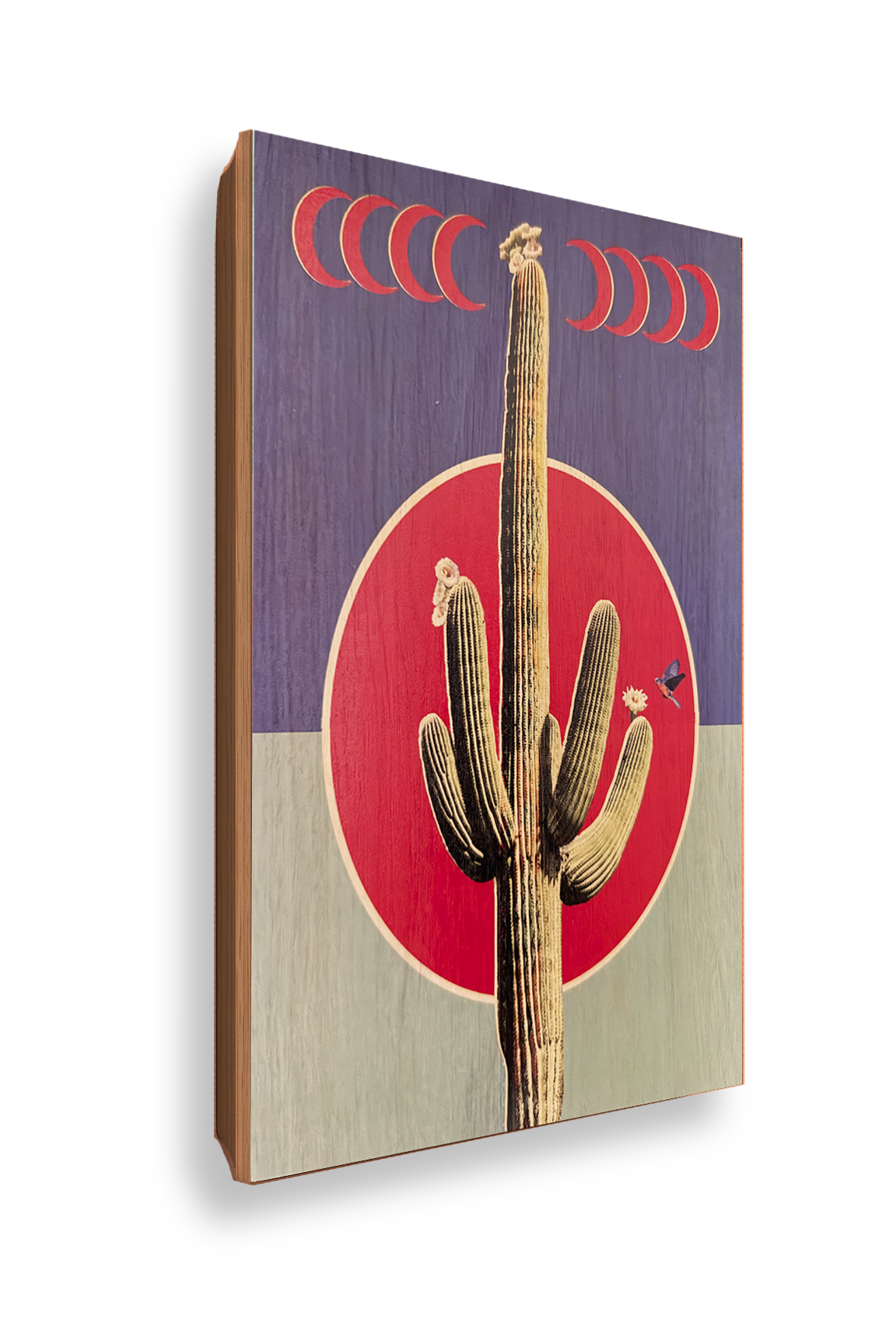 Crescent Cactus