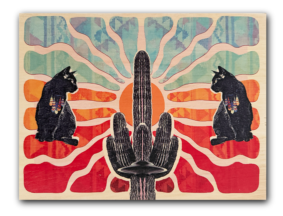 Sun Cats