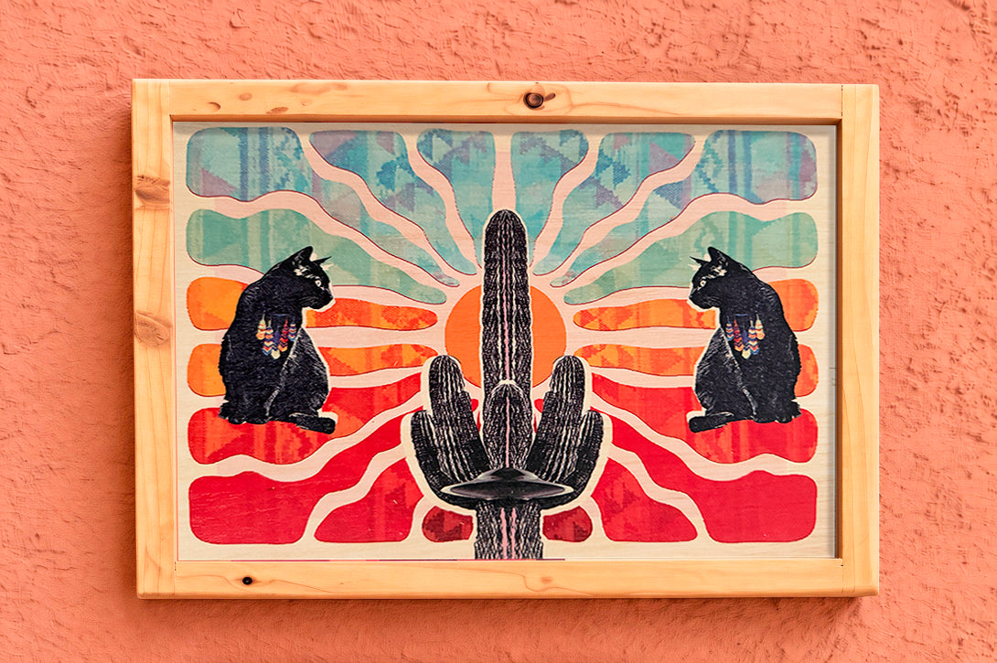 Sun Cats