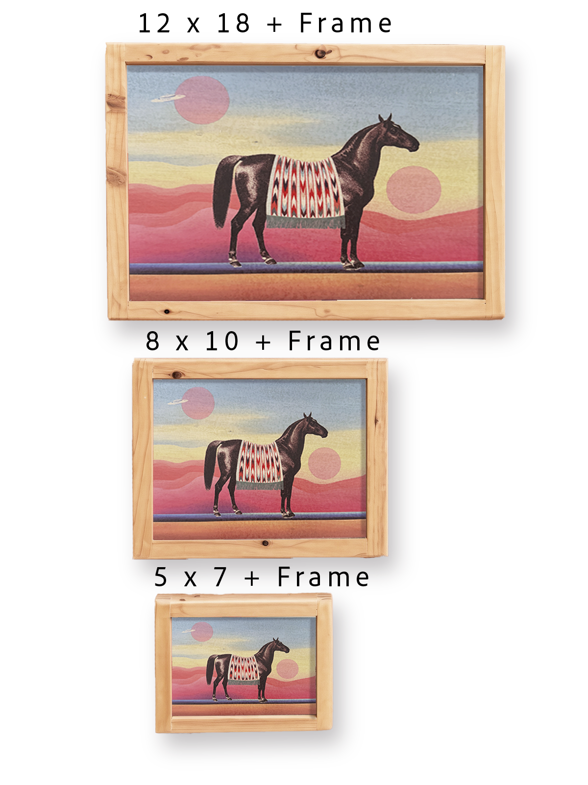 Desert Rider