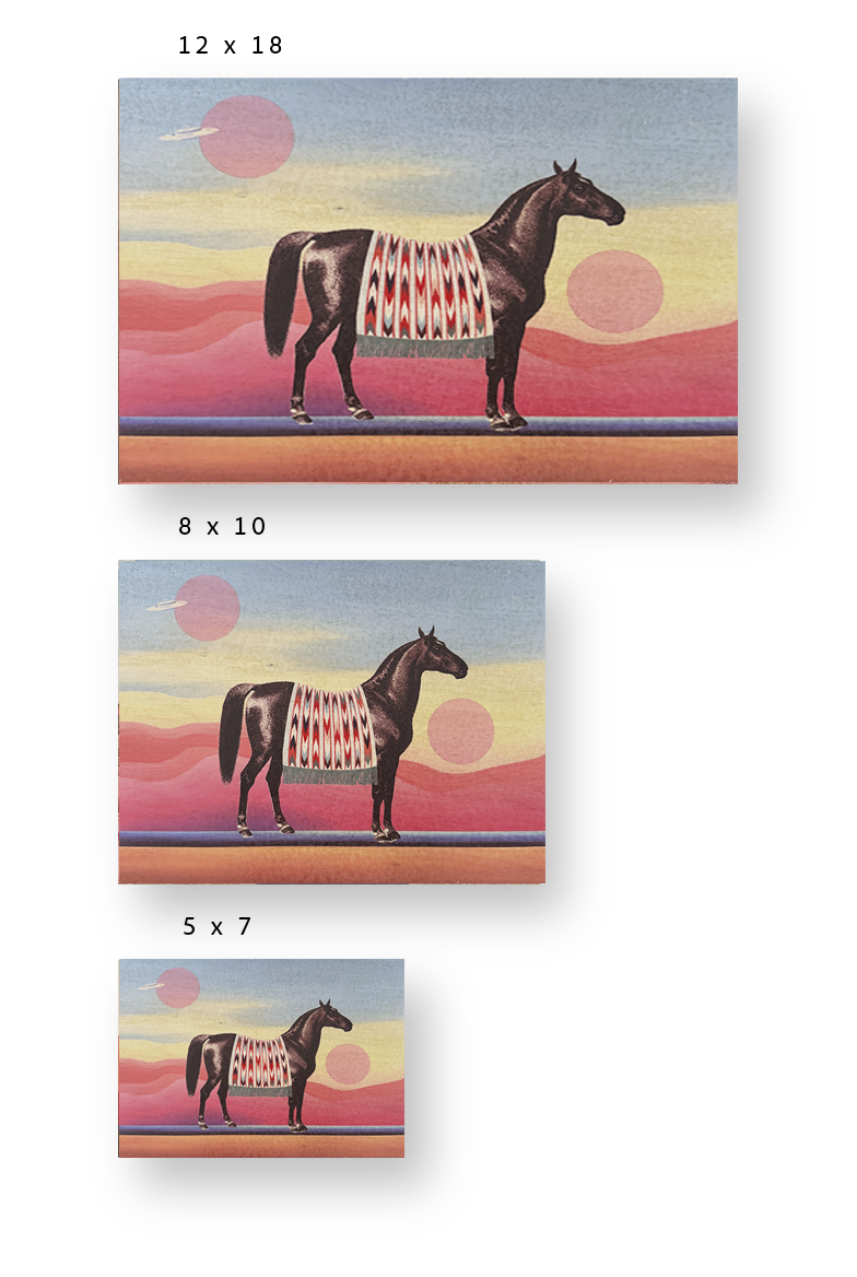 Desert Rider