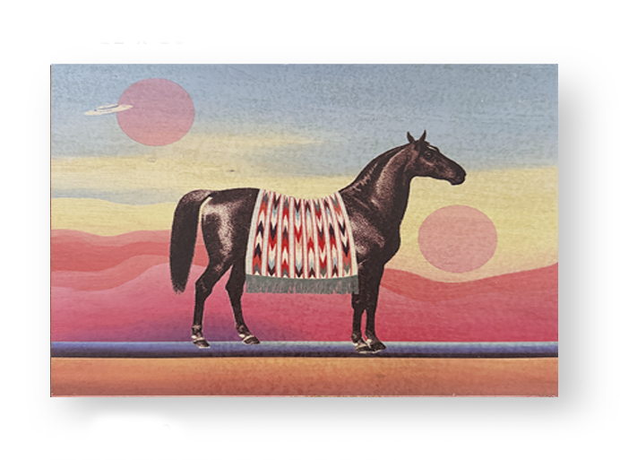 Desert Rider