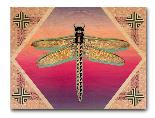 Dragonfly Rising