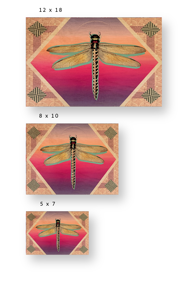 Dragonfly Rising