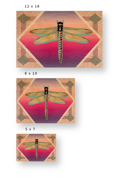 Dragonfly Rising