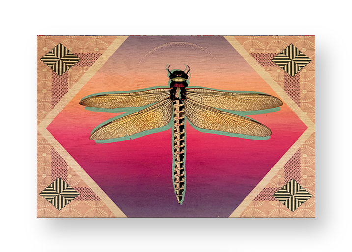 Dragonfly Rising