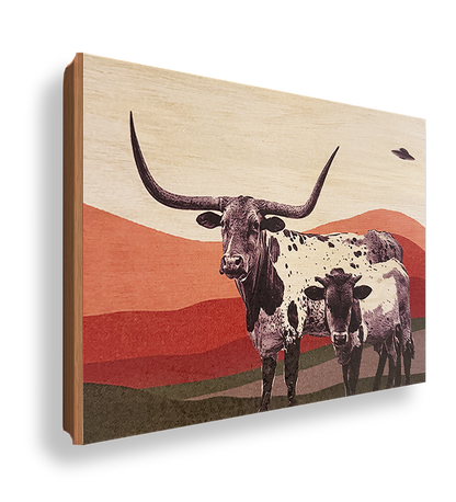 Longhorns & Aliens