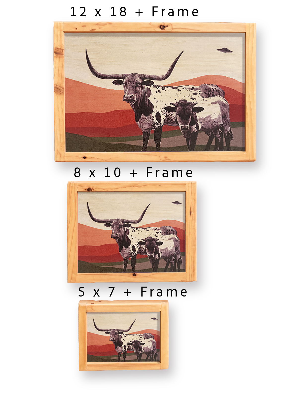 Longhorns & Aliens