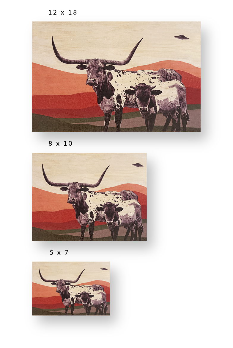 Longhorns & Aliens