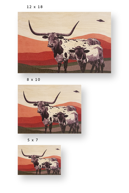 Longhorns & Aliens