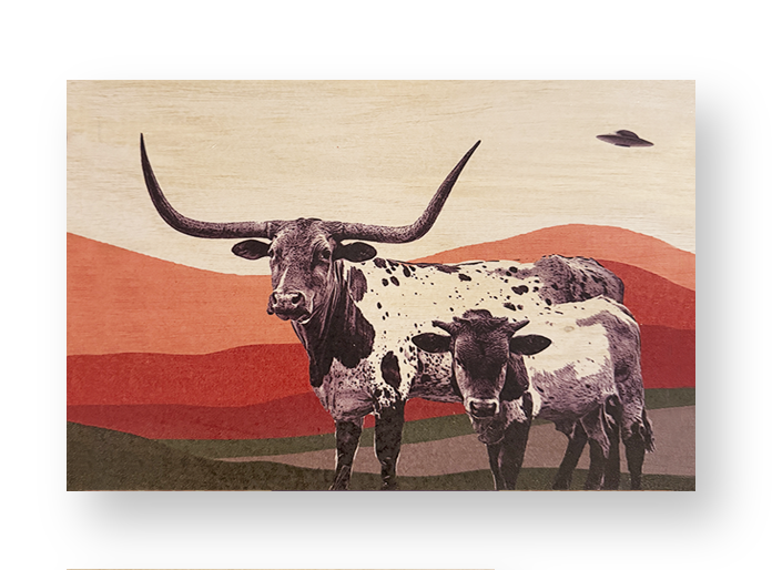 Longhorns & Aliens