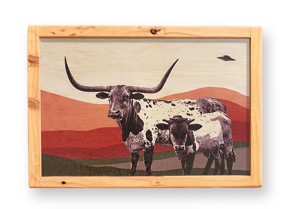 Longhorns & Aliens