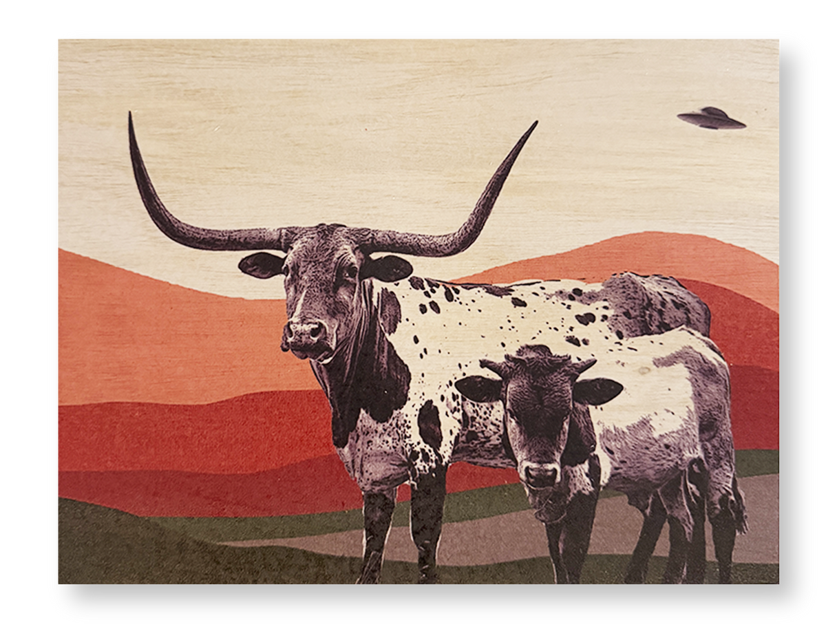 Longhorns & Aliens