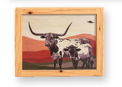Longhorns & Aliens