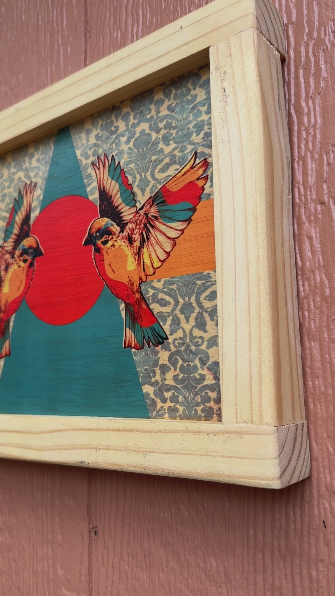 その他 Birds of a Feather - The Collection Amazon.com: Birds of a Feather: The Collection [DVD